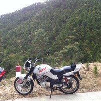 出售金城铃木刀，07年车