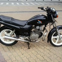 广州芳村代友出售夜鹰，5500接刀