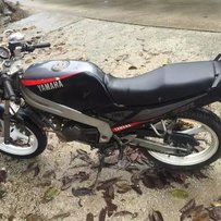 广东鹤山出售TZR125一部