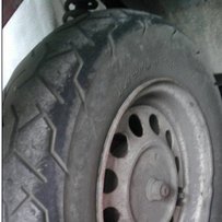 东莞出售垃圾鸭子50C