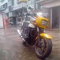 有台可以的ZRX小猪头