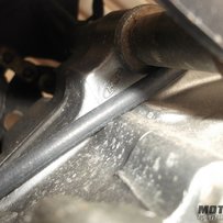 不好意思~~~暂停出售！！！~~~不好意思~~~暂停出售！！！~~~