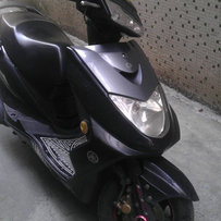 增城再出精神迅鹰，江湖救急啊。