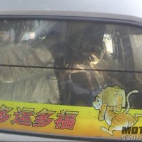 车已售！！！！！！！！！！！