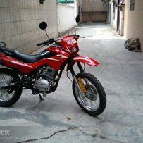 出售精神200CC爬鸡