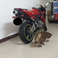 顺德容桂出售04F5，08K8，10Z1000，98CB400