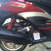 台湾三叶劲战二代11.7