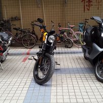 求包养求互换！普宁市出宝马GT650。哈雷N版1200.爆改杜卡迪1100