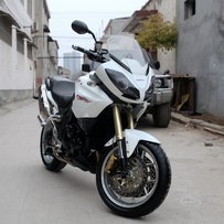 一黑一白两头大虎，英伦贵族凯旋1050