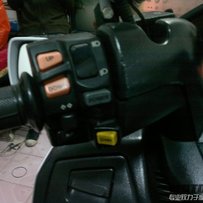 珠海出鈴木猴子