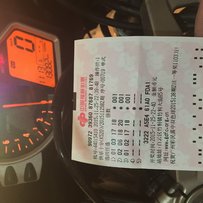 广州出只精神鹦鹉