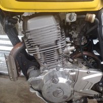 有视频.江门新会8000出售自用复古小鹿223