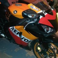 广州市南沙大岗镇出精神08威爽鹦鹉一台