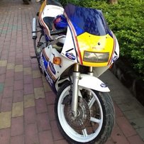 干离3仔！！！！！