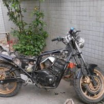 慢出台蓝宝石尸体