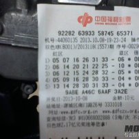 河源代友出大猪头1100本土版（已解码）一口价20000！