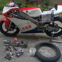 广州代友出售雅马哈厂车TZ125