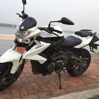 广东鹤山出黄龙600