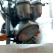 海豚250 尸体，1980元