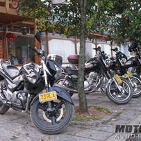 车车已出。多谢各位支持。非常感谢、贝纳利600正常出售中。