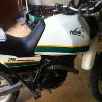 保存较好的小鹿225