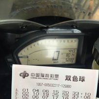 深圳宝安沙井出售14年鹦鹉