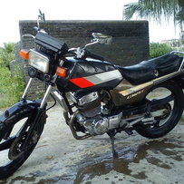 出售本田王CBT250