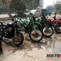 出售颠鸡淫鸡两台