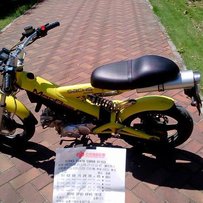 珠海出售刀郎5500元