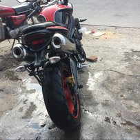 11年英国凯旋青蛙王子675