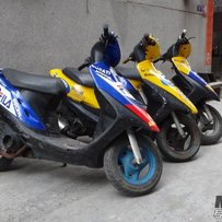 佛山南海出售4部两冲50C绵羊（再更新图片）