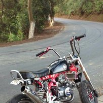 梧州出部精神湿式三仔,精神猴子.~~~