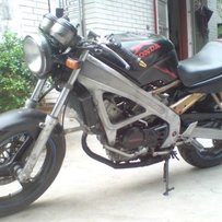 己售..多谢坊   小蚂蚁250~因为没放报纸拍照给删了现在<从新发贴>