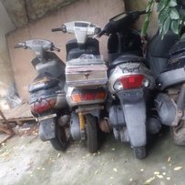 出售猪头半尸，四台2冲鸡