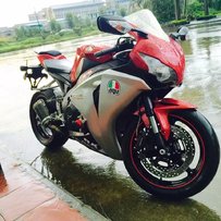 （广州番禺出售08年鹦鹉）