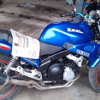 清远出部海豚250