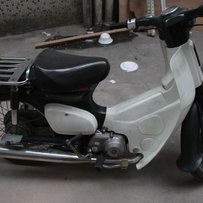 惠州3800出售经典超极品级幼兽50cc（补发帖）