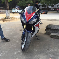 代友出11鹦鹉头，