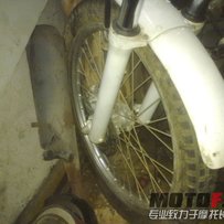 江门新会出售攀爬TLM250