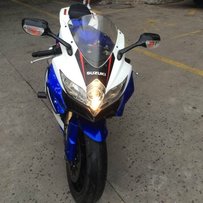 番禺出售K9小R,保证精神