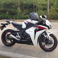 广东省江门开平市出售08CBR1000变款鹦鹉