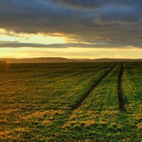 已出售了啊················