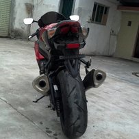 东莞桥头镇代友出售精神K9大R