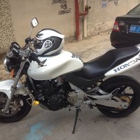 清远本田黄锋600