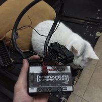 汕头 出售07美版黄蜂919原版原漆带改件