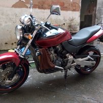 广东茂名出黄蜂600