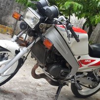 出部原装度高T仔