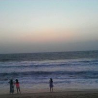 出售fzr250大板骨尸体