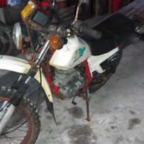 广东梅州出售嘉陵94老白菜