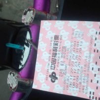 重新出售13年特技正林250已自刀